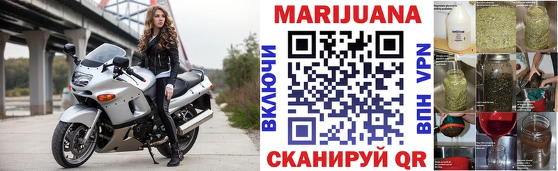 Купить закладки  Николаевск  Шишки марихуана семена 
